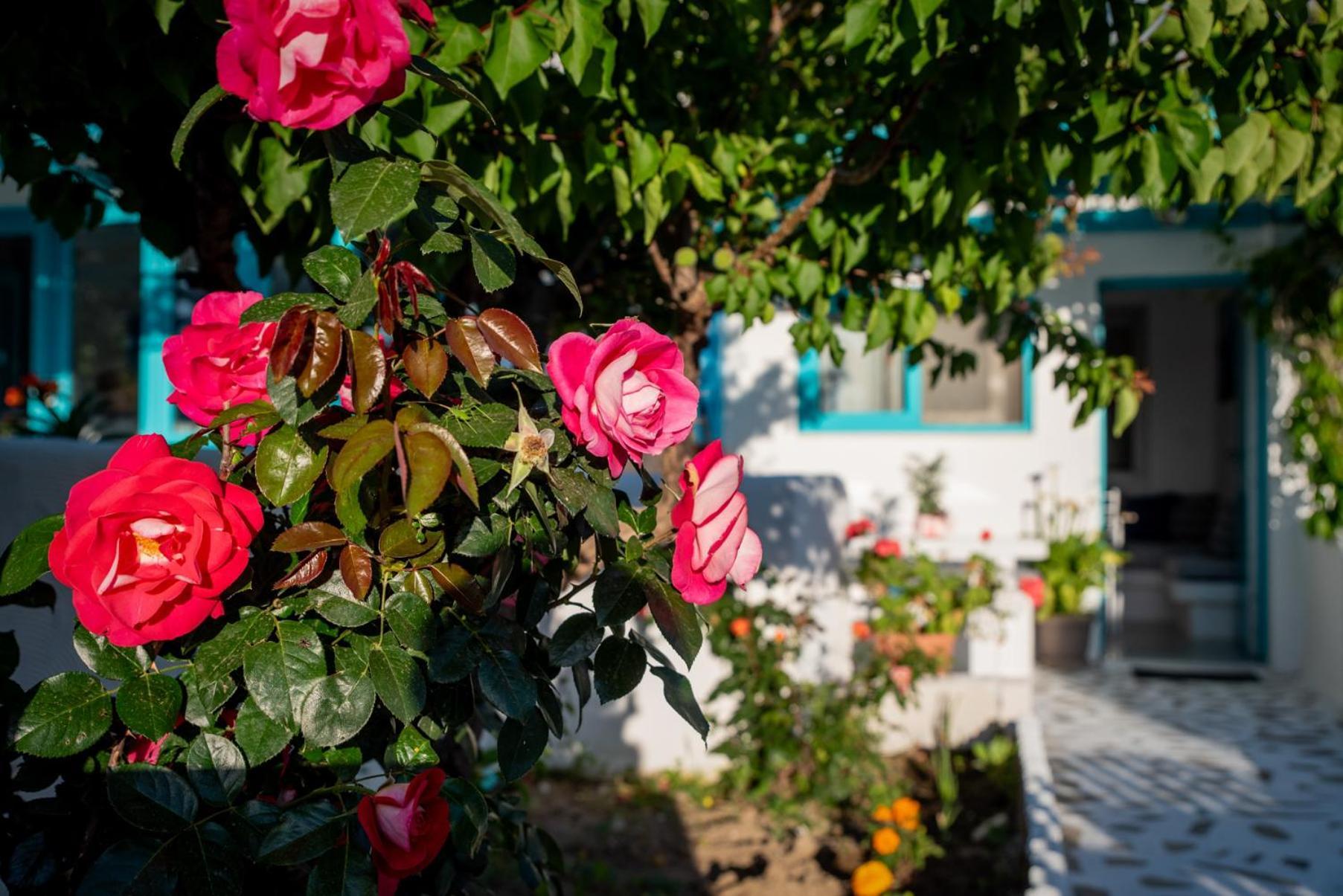 Apartmán Azzurro Naxos, Azzurro I - Azzurro II - Azzurro III Naxos City Exteriér fotografie